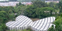 Jardín Botánico y Mariposario